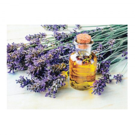 Felicitare every day, colecția 1001, lavanda 02