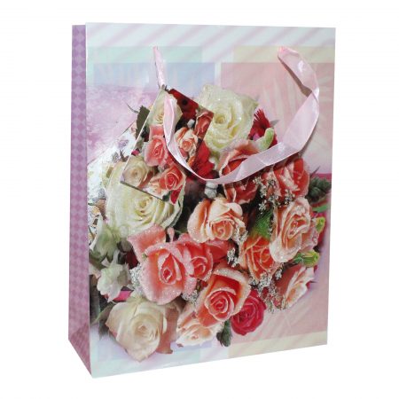 Punga AR 0 Every day cu aplicatii, glitter 02 - 21x26.5x8 cm - set 10 bucati