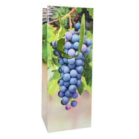 Pungă Sticlă 05, 12.5x32.8x10 cm - set 10 buc.