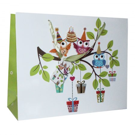Punga AR 3 Every day cu aplicatii, folio 05 - 37x29x12.5 cm - set 10 bucati