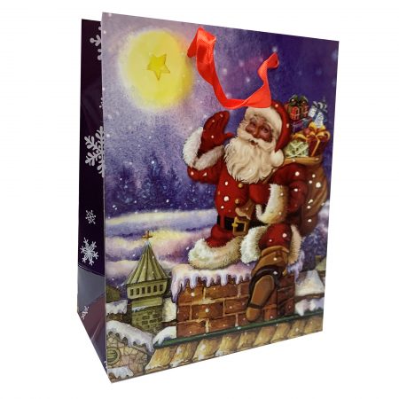 Pungă M CRĂCIUN 09 17.5x23x10 cm - set 10 bucăţi