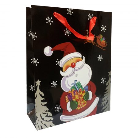 Punga L CRACIUN 12 26x32x10 cm - set 10 bucati